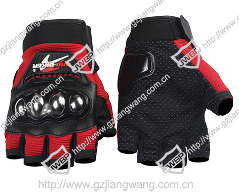 Motorcycle Glove